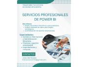 Servicios Profesionales de power bi