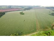 Campo Agrícola Mecanizado en San Rafael del Paraná - 362 Ha.