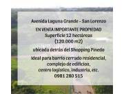 IMPORTANTE PROPIEDAD sobre Avenida Laguna Grande- San Lorenzo.