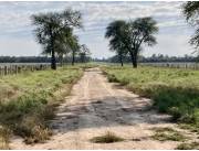 Campo Agrícola/Ganadero en Manuel Irala Fernández - 800 Ha.