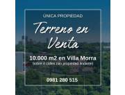 10.000 m2 - 1 hectárea en PLENO VILLA MORRA