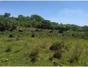 Vendo campo en Ybycuí