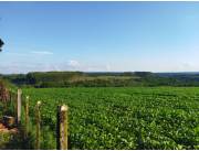 Campo Agrícola/Ganadero Mecanizado en Presidente Franco - 32 Ha.