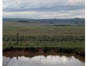 Alquilo Campo Ganadero en Quiindy - 250 Ha.