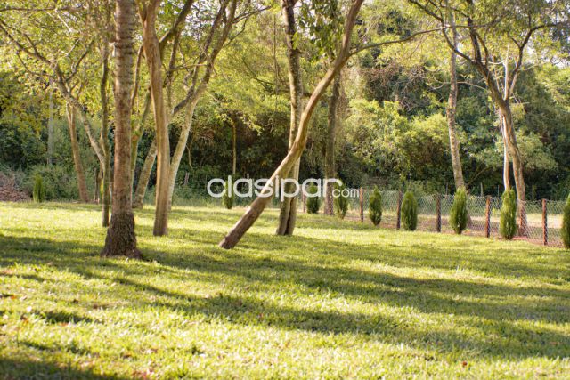 Terrenos - EN AREGUA, DESCANSAR EN MEDIO DE LA NATURALEZA ES POSIBLE!