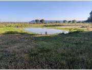 Alquilo Campo Ganadero en Ybytymi sobre Ruta - 500 Ha.