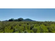 Campo Agrícola/Ganadero en Escobar - 20 Ha.