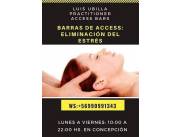 SESIONES DE BARRAS ACCESS