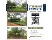 Amplio Terreno en LUQUE B°MARIN KAAGUY - 3 Lotes Juntos (1.154m2) ‼️