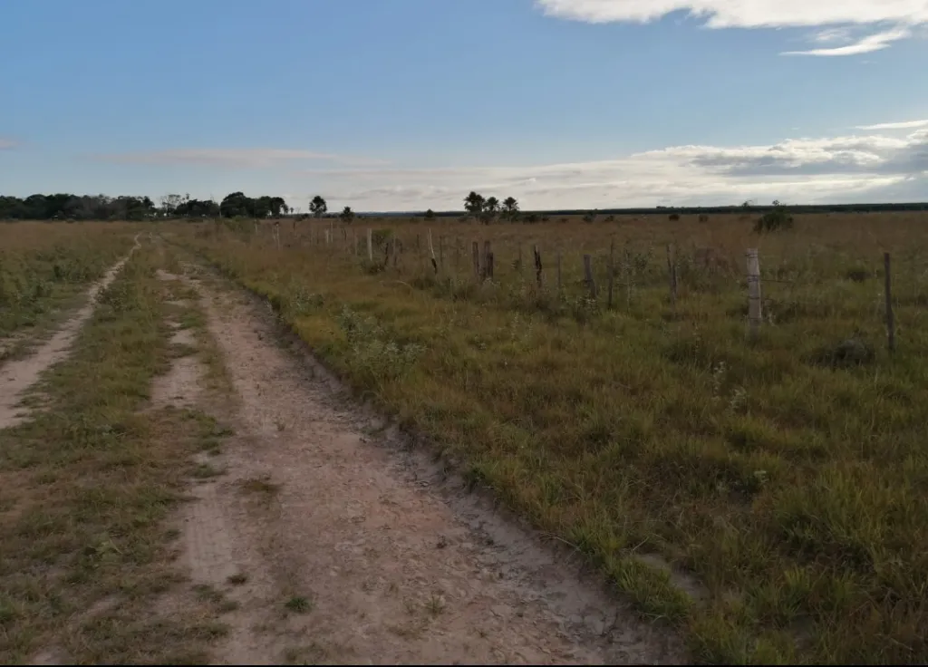 VENDO ESTABLECIMIENTO GANADERO DE 102 HTAS. ZONA SAN ESTANISLAO — foto 2