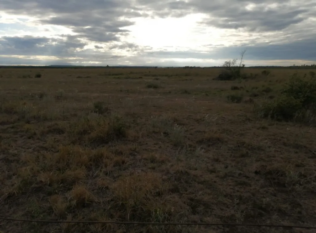 VENDO ESTABLECIMIENTO GANADERO DE 102 HTAS. ZONA SAN ESTANISLAO — foto 3