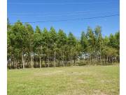 Terreno Agrícola/Ganadero en Villa Hayes sobre Ruta - 14 Ha.