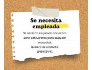 Empleada domestica