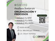 Curso online: Analista Senior en Organización y Procesos