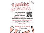 Tareas Escolares y Universitarias