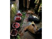 Black Magic Instant +256747234371 Death Spell Caster, I Need A working Black Magic Instant