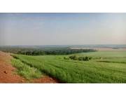 Campo Agrícola Mecanizado en Pirapó - 350 Ha.