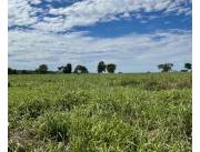 Campo Agrícola/Ganadero Mecanizado en Curuguaty - 1000 Ha.