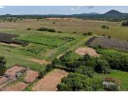 EN VENTA ESTABLECIMIENTO AGROGANADERO