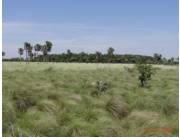 Campo Ganadero en Villa Hayes costas al Río Paraguay - 10000 Ha.