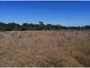 Terrenos - Terrenos