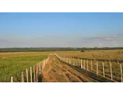 Campo Ganadero en Ybycui - 30 Ha.