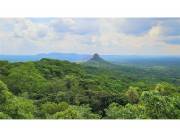 VENDO CAMPO SOBRE RUTA PARAGUARI - PIRIBEBUY