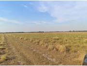 Alquilo Campo Agricola a Mecanizar en San Ignacio - 150 Ha.