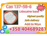 CAS 137-58-6 Lidocaine Factory Supply High Purity Safe Delivery