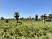 Campo Agrícola/Ganadero en Tacuaras - 3500 Ha.