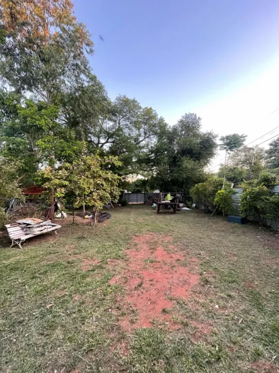 Terreno en villa elisa — foto 3