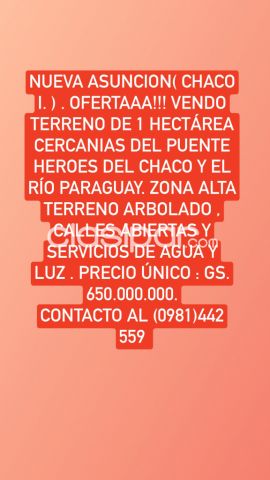 Terrenos - OFERTAAA!! VENDO 1 HECTÁREA EN NUEVA ASUNCION ( CHACO I ) Z/ PUENTE HÉROES DEL CHACO