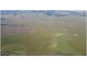 VENDO PROPIEDAD 2260 HAS DEPARTAMENTO SAN PEDRO DISTRITO DE CHORE LUGAR COLONIA LA NIÑA