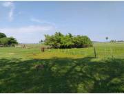 VENDO 411 HECTÁREAS EN ESTERO KANVA / SAN JUAN DE ÑEEMBUCU