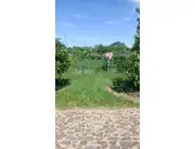 TERRENOS EN AYOLAS VENDO !!