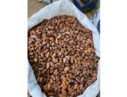Where to sale cocoa beans in south Africa, Call or wahstapp