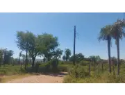 LIMPIO, PROX. ASFALTO: 4 HECT, ALTURA, SALIDA 3 CALLES, P/ DESARROLLO HABITACIONAL.