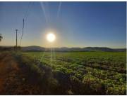 Campo Agrícola/Ganadero en José Fassardi - 48 Ha.