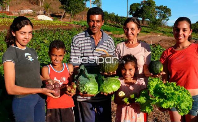 ¡Convierta su Tierra Fiscal en Propiedad Real Hoy! 🌱🔏 — foto 2