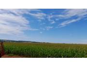 Campo Agrícola Mecanizado en Jesús - 200 Ha.