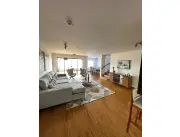 alquilo penthouse totalmente amoblado