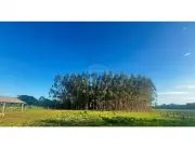 VENDO 5.7 HECTAREAS EN CORONEL BOGADO ITAPÚA