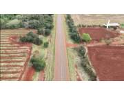 VENDO 90 HECTAREAS SOBRE RUTA 7 - ALTO PARANÁ