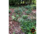 VENTA DE TERRENO EN ÑEMBY, CAÑADITA