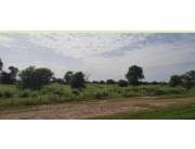 VENDO ESTANCIA AGROGANADERA - AGRO RENDA - ALTO PARAGUAY CHACO