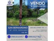 VENDO 2 TERRENOS EN SAN BERNARDINO - BARRIO SANTO DOMINGO!!!..