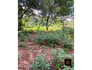 VENTA DE TERRENO EN ÑEMBY, CAÑADITA