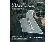 VENDO 22O HECTAREAS EN INMEJORABLE UBICACIÓN EN CONCEPCION