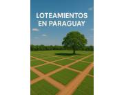 🏢 "Loteos para uso comercial"