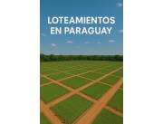 🌳 "Terrenos divididos con normativas"